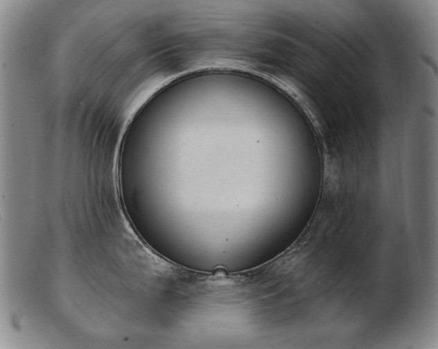 X0000103911199200809191255