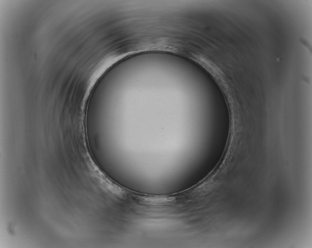 X0000103911200200809191255