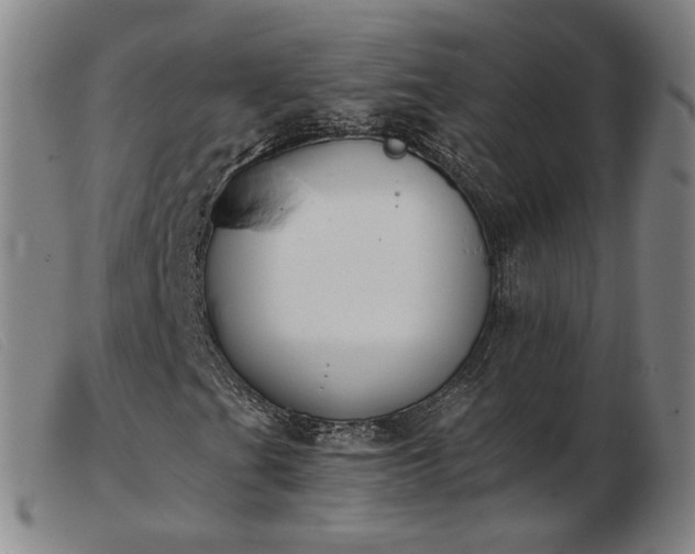 X0000103911201200809191254