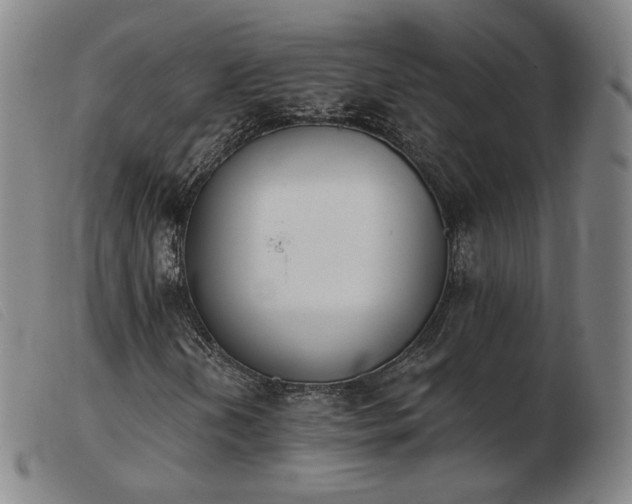 X0000103911202200809191254