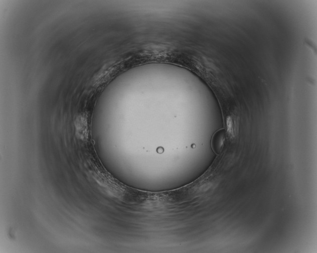 X0000103911203200809191254