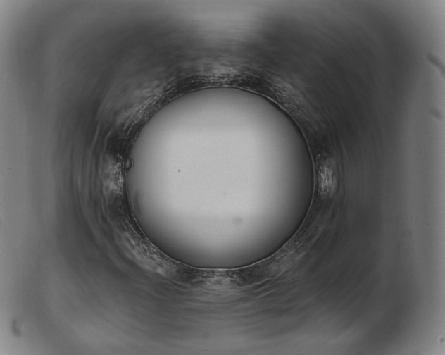X0000103911204200809191254