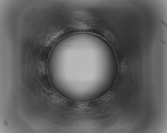 X0000103911205200809191254