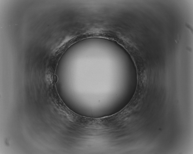 X0000103911206200809191254