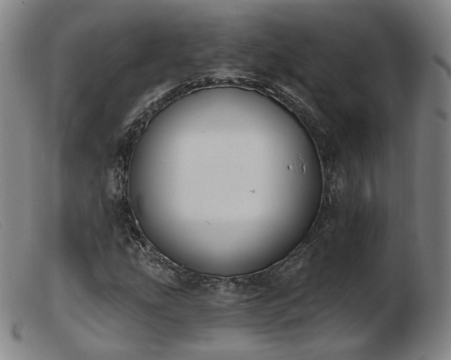X0000103911207200809191254