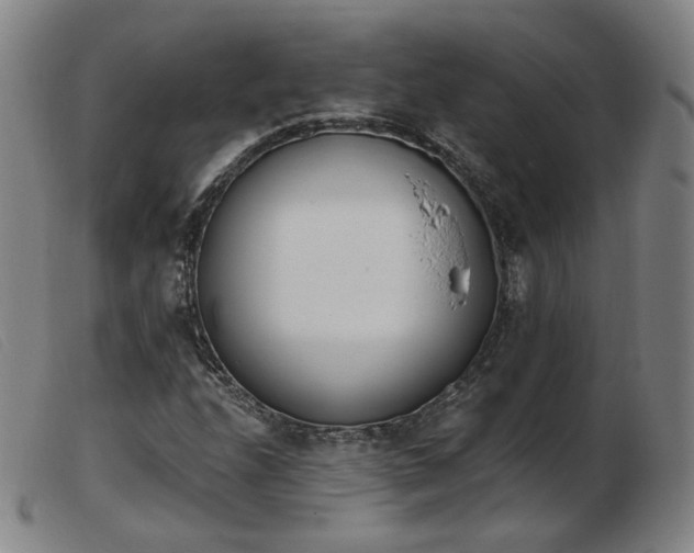 X0000103911208200809191254