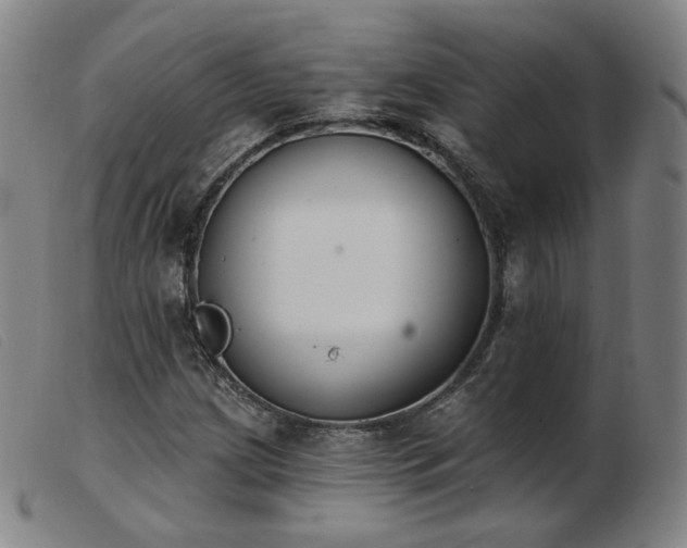 X0000103911209200809191254