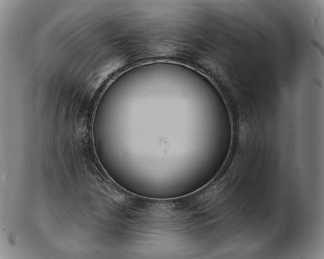 X0000103911210200809191254