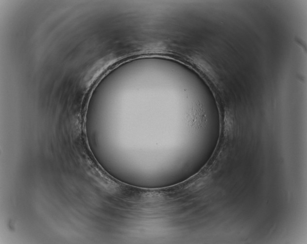 X0000103911212200809191254