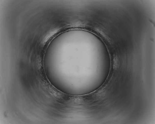 X0000103911213200809191254