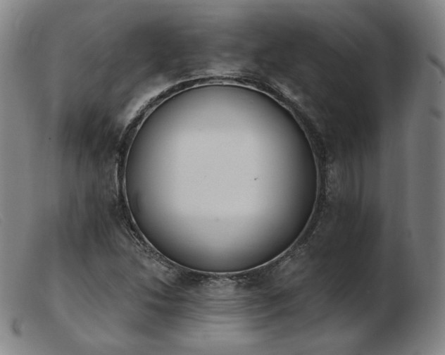 X0000103911214200809191254