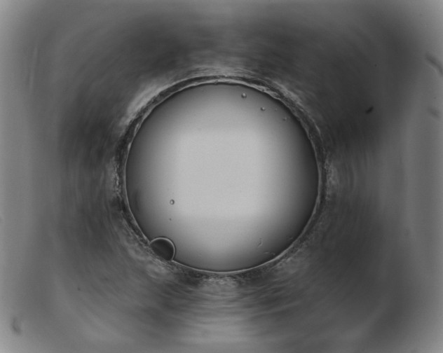 X0000103911215200809191254