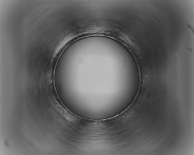 X0000103911216200809191254
