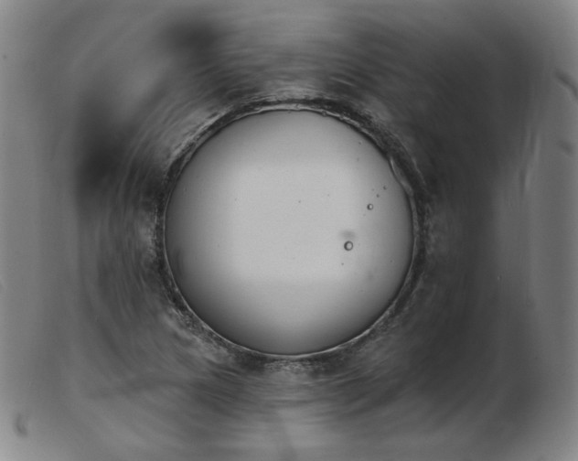X0000103911217200809191254