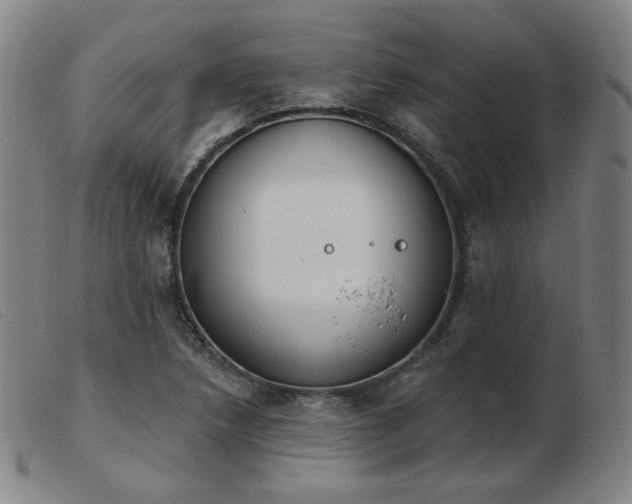X0000103911218200809191254
