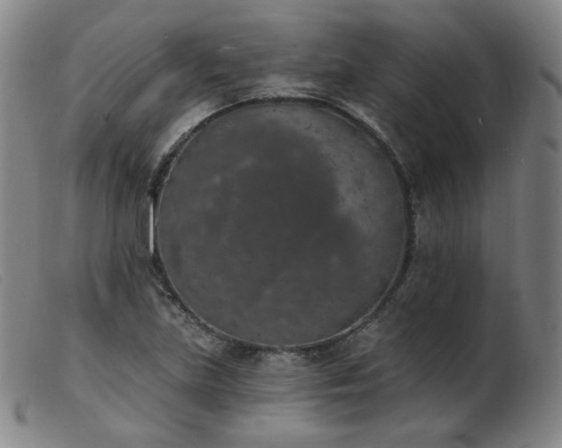 X0000103911219200809191254