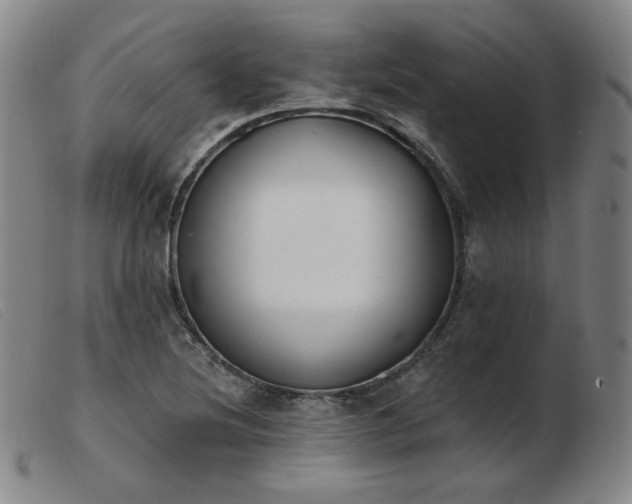 X0000103911220200809191254