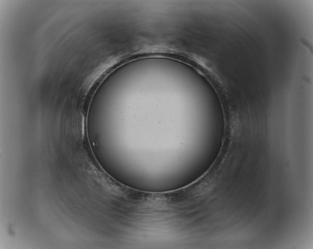 X0000103911221200809191254