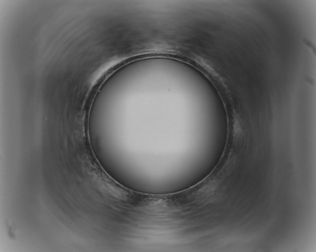 X0000103911222200809191254