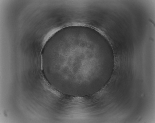 X0000103911223200809191254