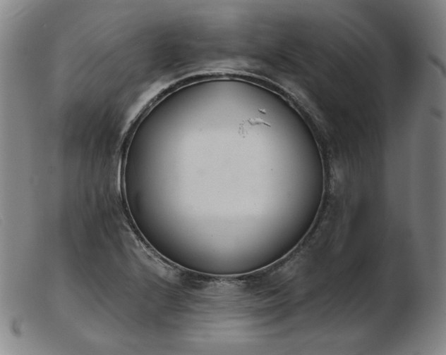 X0000103911224200809191254
