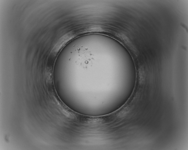 X0000103911225200809191254