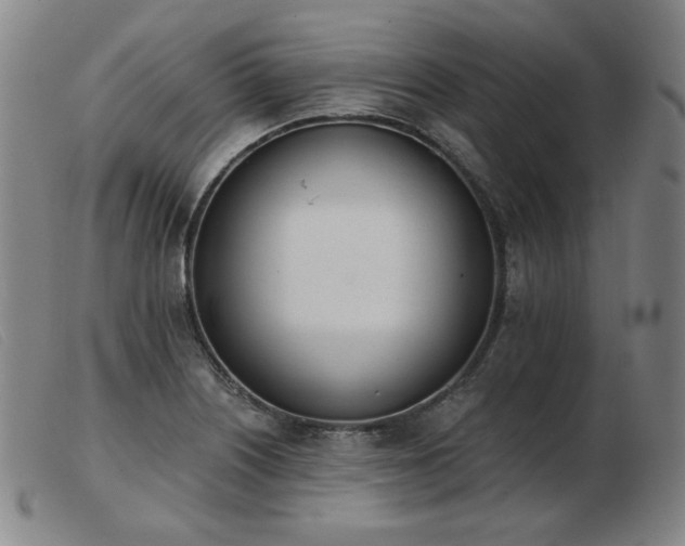 X0000103911226200809191255