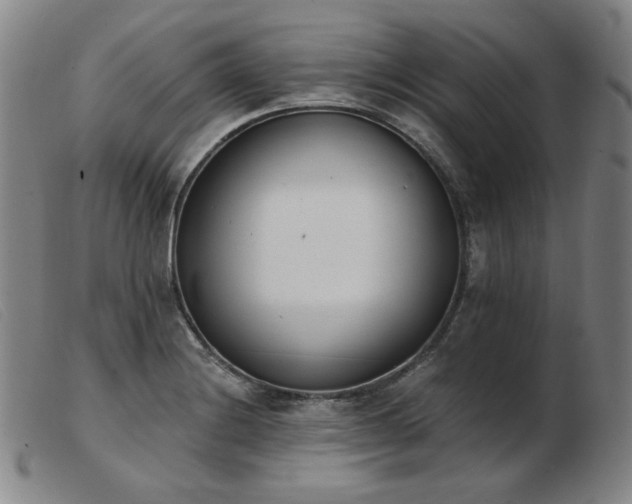 X0000103911228200809191255
