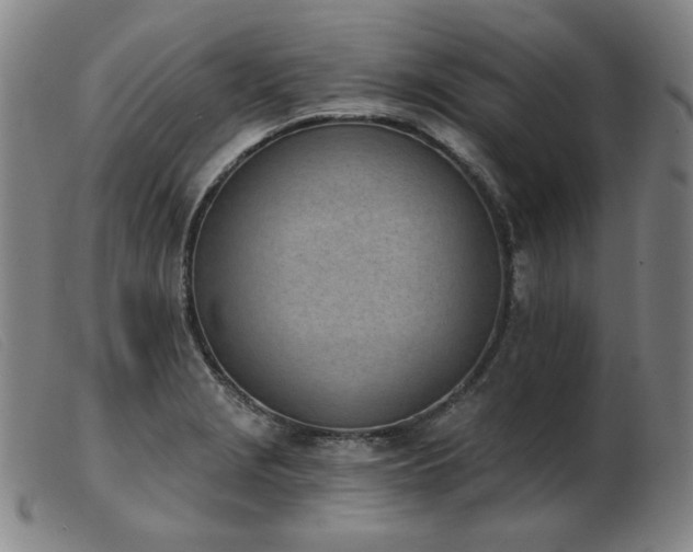 X0000103911229200809191255