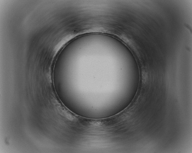X0000103911230200809191255