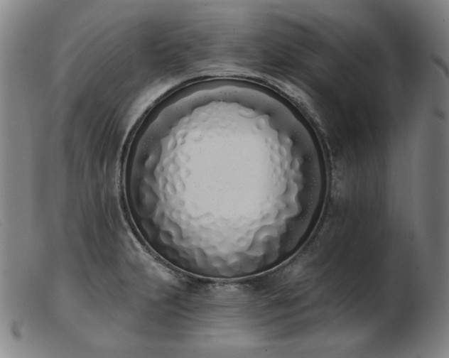 X0000103911231200809191255