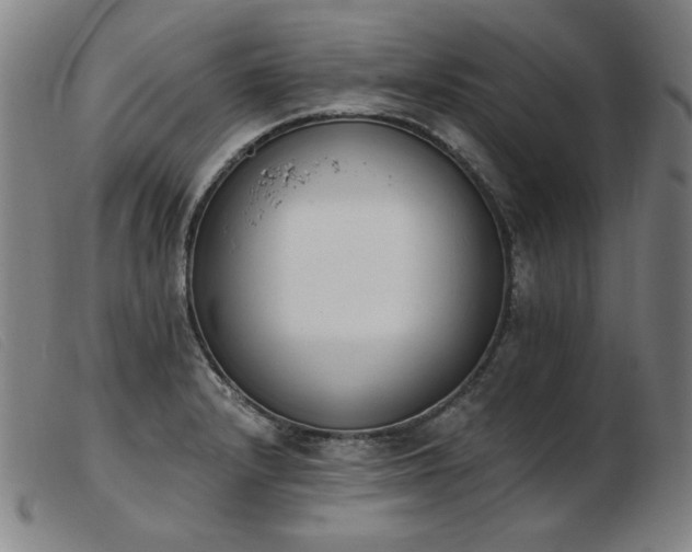 X0000103911232200809191255