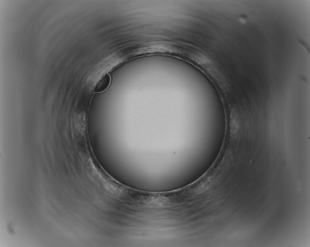 X0000103911233200809191255