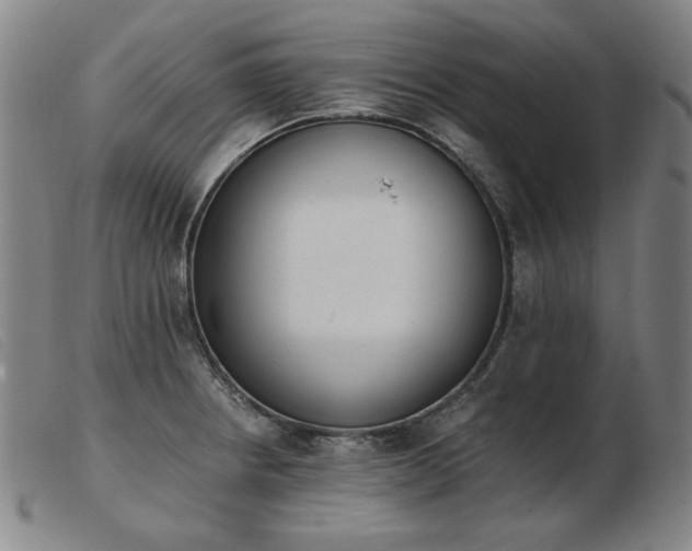 X0000103911234200809191255