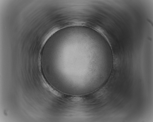 X0000103911235200809191255
