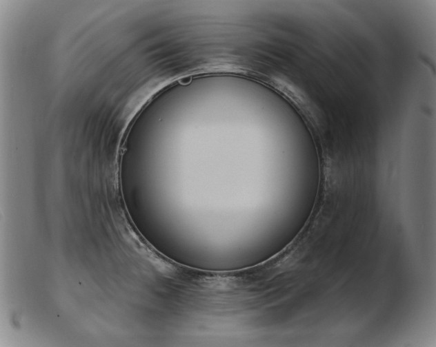 X0000103911236200809191255