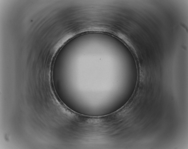 X0000103911237200809191255