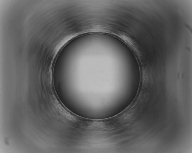 X0000103911238200809191255