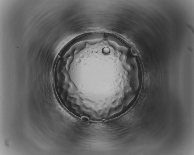 X0000103911239200809191255