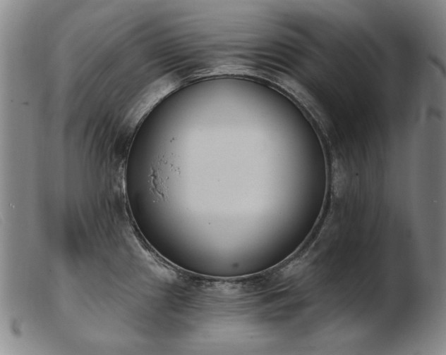 X0000103911241200809191255