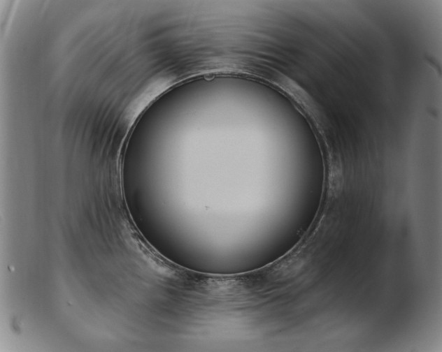 X0000103911242200809191255
