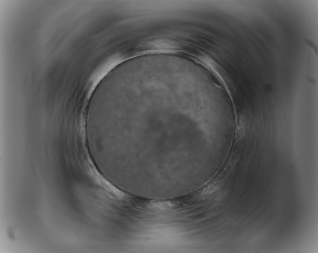 X0000103911243200809191255