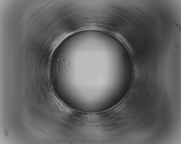 X0000103911244200809191255