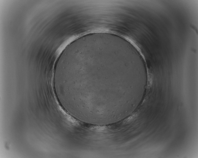 X0000103911245200809191255