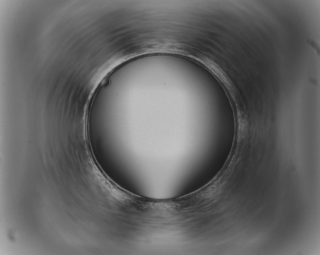 X0000103911246200809191255