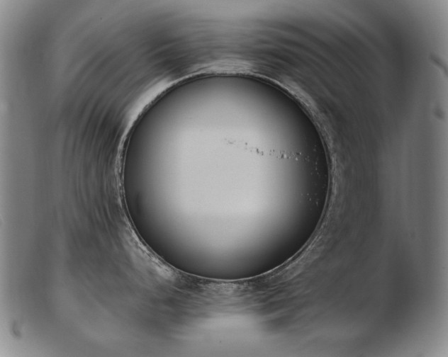 X0000103911248200809191255