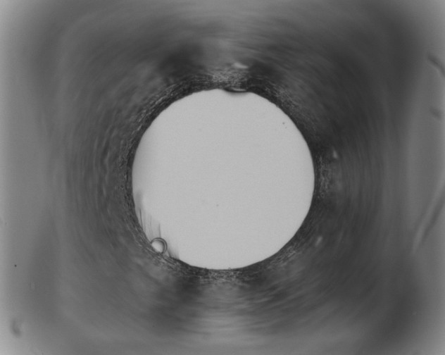 X0000103911249200809191254