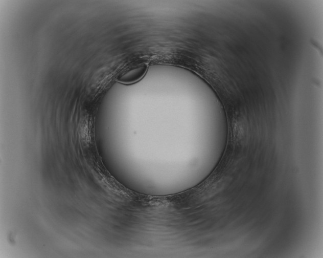X0000103911250200809191254