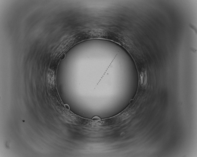 X0000103911251200809191254
