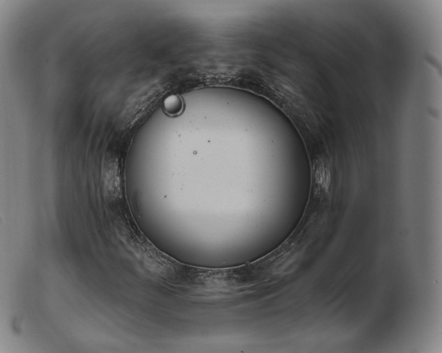 X0000103911252200809191254